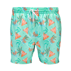 Chubbies® 90s Lined Swim Trunks